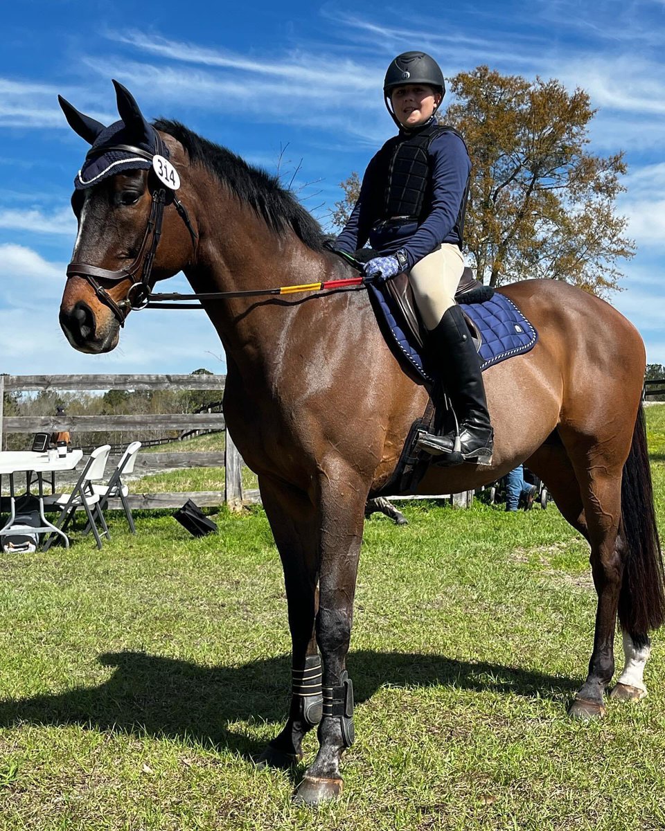 LindseyGCobb's tweet photo. @ProfChoice, @SmartPak , @BackOnTrackProd, @Shires1   What are the best cross country boots for this Ottb?  He protects my daughter and I want to support and protect his legs with the best! https://t.co/HlUEysKS0B