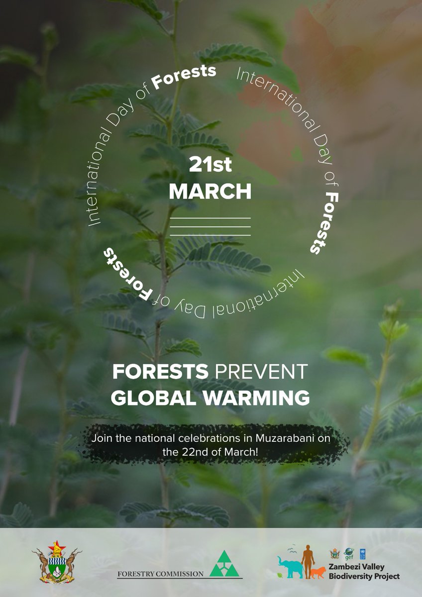 Today is #idf2023 #healthyforests #healthypeople