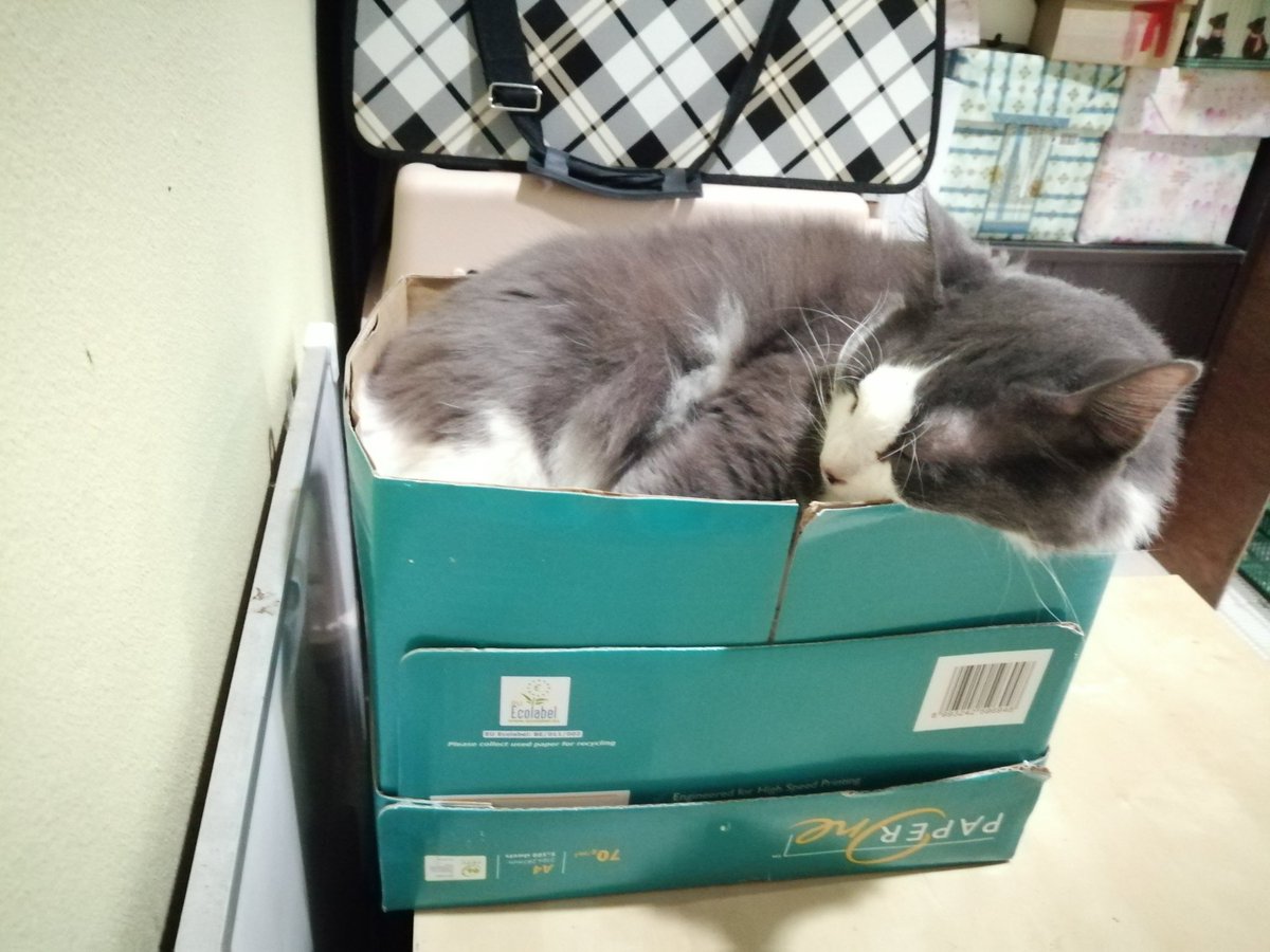 Jangan ganggu saya, saya nak tido