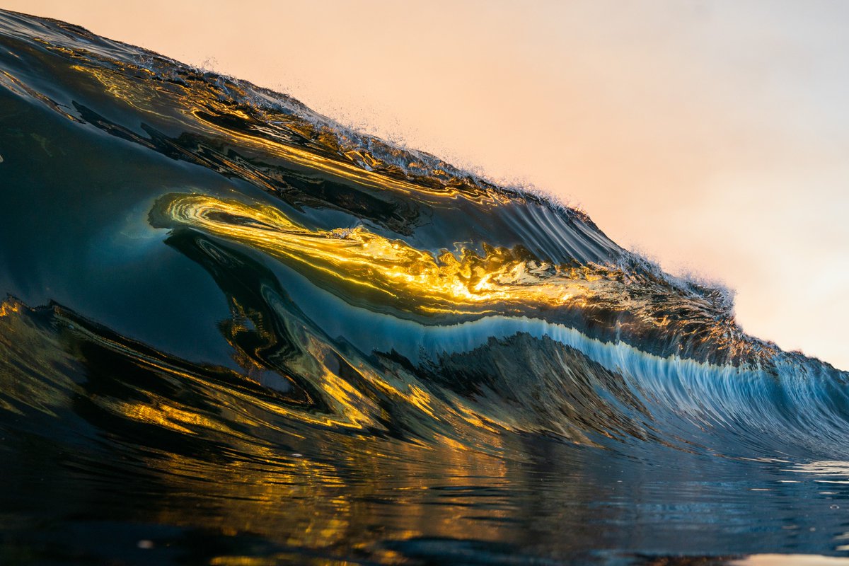 the unique tones of the ocean