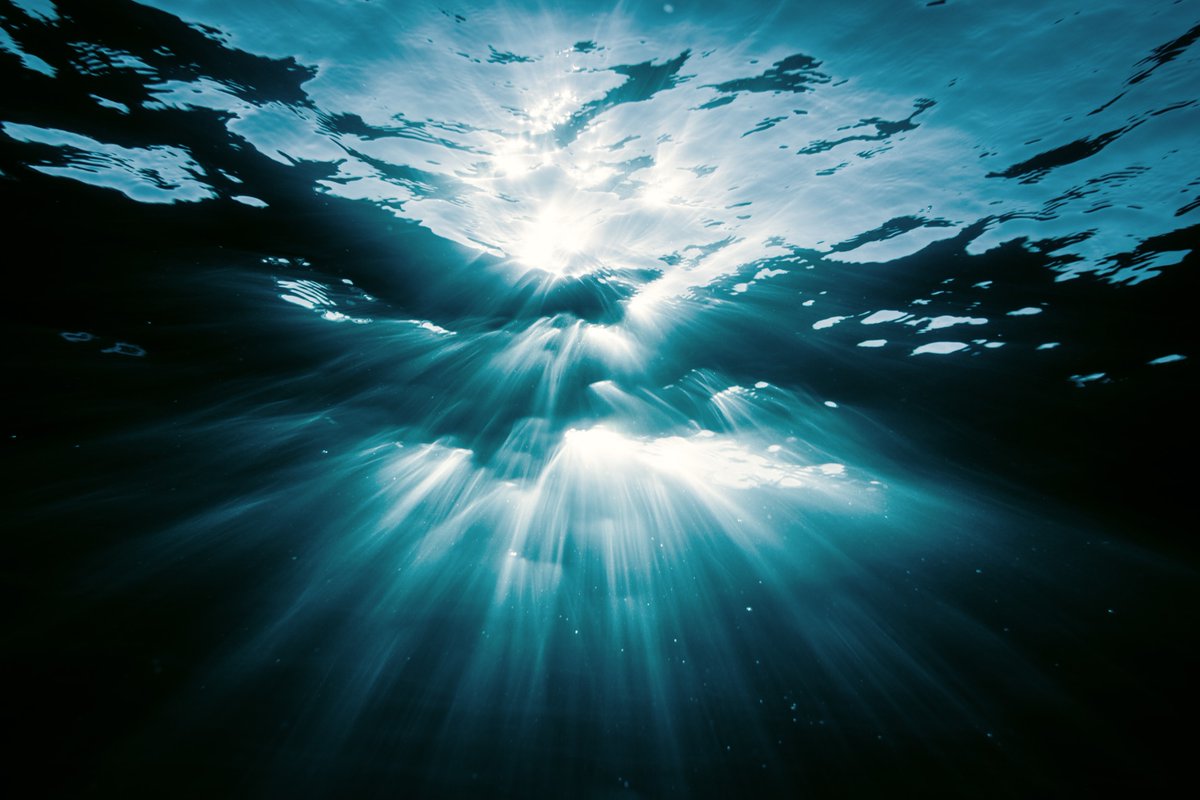 Ryan Pernofski tweet media