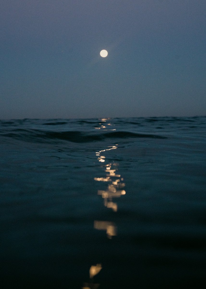 Ryan Pernofski tweet media