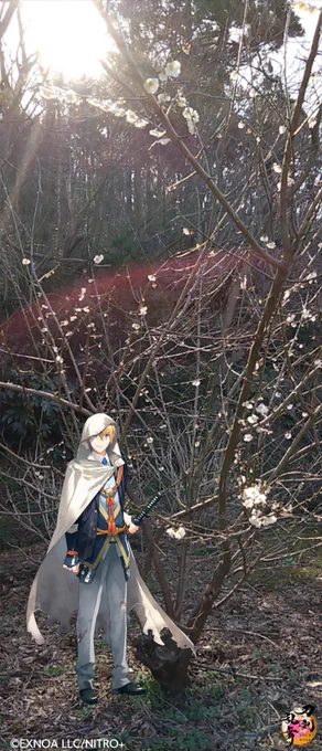 んばちゃと共になら写真が撮れることに気づいた天才ライフハックだったがいかんせん花にピントが合わなくて撃沈 