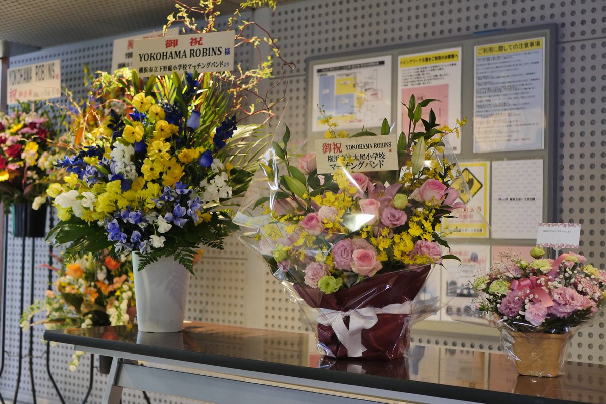 YOKOHAMAROBINS's tweet photo. 沢山の花束を頂戴しております。
#ロビコン2023

@SRVanguardJP様
@ESTEAM_official様
横浜市立太尾小学校マーチングバンド様
横浜市立下野庭小学校 マーチングバンド様
@zaurus2019様
@AnbainBlueBirds様
株式会社三芳エキスプレス様
@tytworks 様
お祝い
@PALS_TOKYO様

誠にありがとうございます。 https://t.co/axeJVUM8cS
