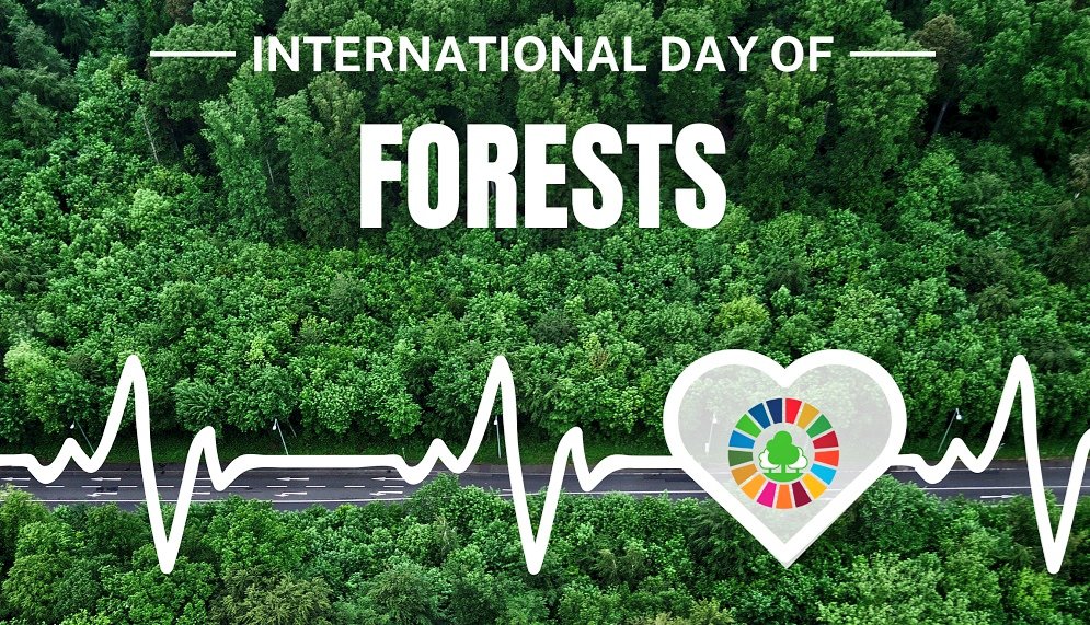 Today is #InternationalDayOfForests  themed #ForestsandHealth which highlight the contribution of forests to an individual's health from purifying the water, cleaning the air, capturing carbon to fighting climate change, providing food &amp; medicines &amp; improving the well-being