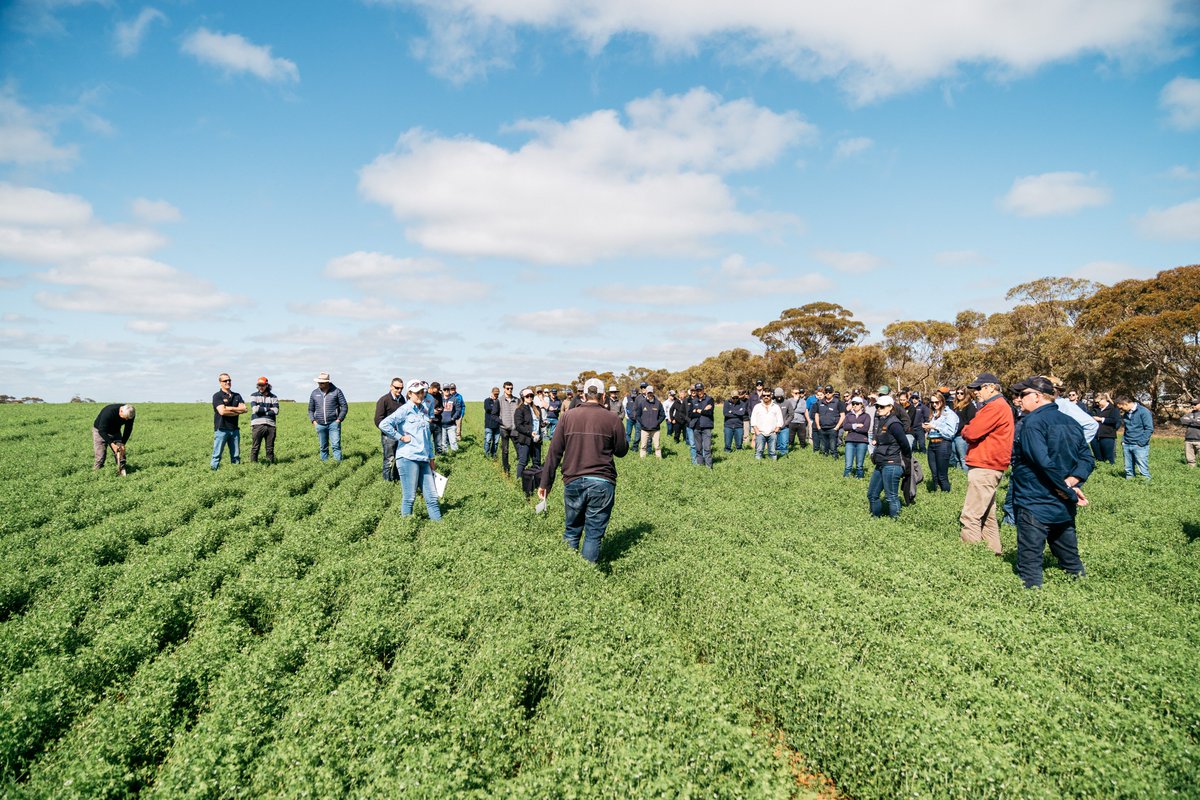 Tickets to WeedSmart Week Dubbo are now live! 🎉

See how forward-thinking growers are implementing the WeedSmart Big 6 to optimise crop yields and profit whilst reducing the weed seed bank.

📅 1 - 3 August 2023 in Dubbo, NSW

Register today 🎟️ weedsmart.org.au/event/weedsmar…