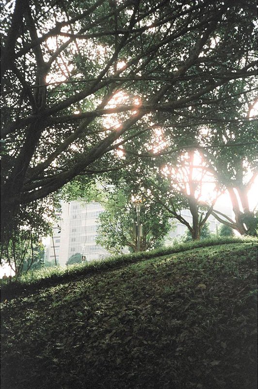 champcamera's tweet image. 新着フィルム入荷 by #港北ニュータウン 店
シンガポール発、HANDS ON FILMの新たなラインナップ『Spring 200 (36exp.)』が港北NT点に到着しました！春の日差しにぴったりの季節感溢れる1本、ぜひお試しくださいませ。
#HANDSONFILM #Spring200 #フィルム写真 #ネガフィルム
champcamera.co.jp/topics/?id=kh_…