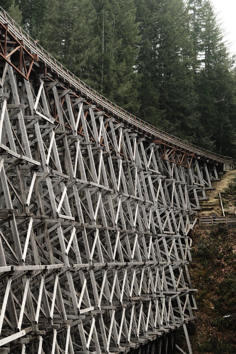 Public Universal Friend (they/them) on Twitter "Kinsol Trestle one of