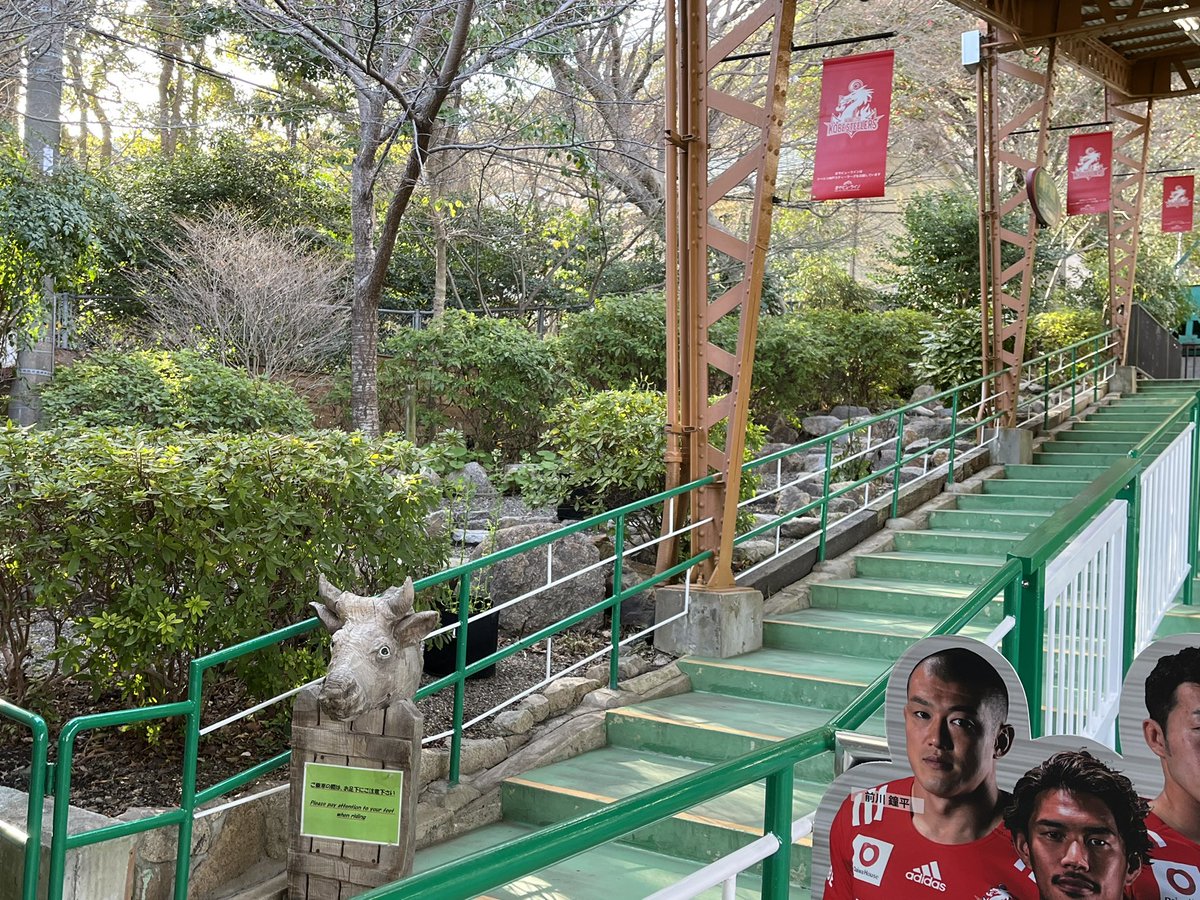 meganeoyaji60's tweet image. 4月後半には
赤スイの鉢植えが咲くらしい！
又行くぞ。
ちょうど墓参りの途中に立ち寄れるんよ😊😂👍
#赤いスイートピー　#摩耶ケーブル