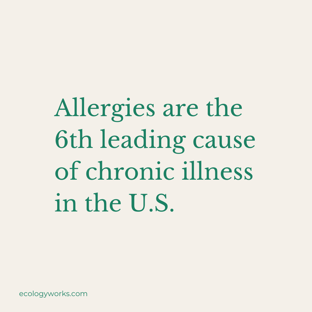 ecology_works's tweet photo. Are #allergies impacting your daily life? The Ecology Works can help! Our sustainable, plant-based products eliminate common environmental #allergens at the source, providing relief for chronic allergy sufferers. #asthma #naturalproducts #allergyrelief https://t.co/4gWgEMxl11 https://t.co/p07OTOHoQq
