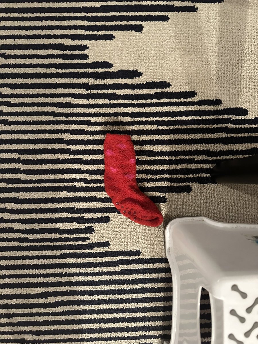 bella d. tweet media