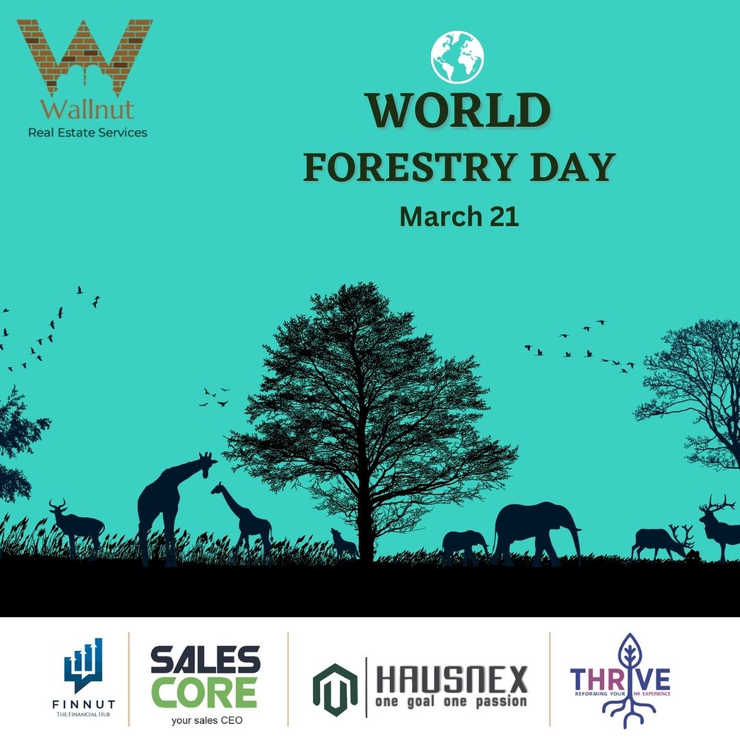 WallnutServices's tweet photo. World Forestry Day!!
Save Forests
Save Trees
Save Wildlife
Save Earth
#worldforestryday #wallnutservices #RealEstate #realestatemumbai #saveforests https://t.co/P4PVTPfhPb
