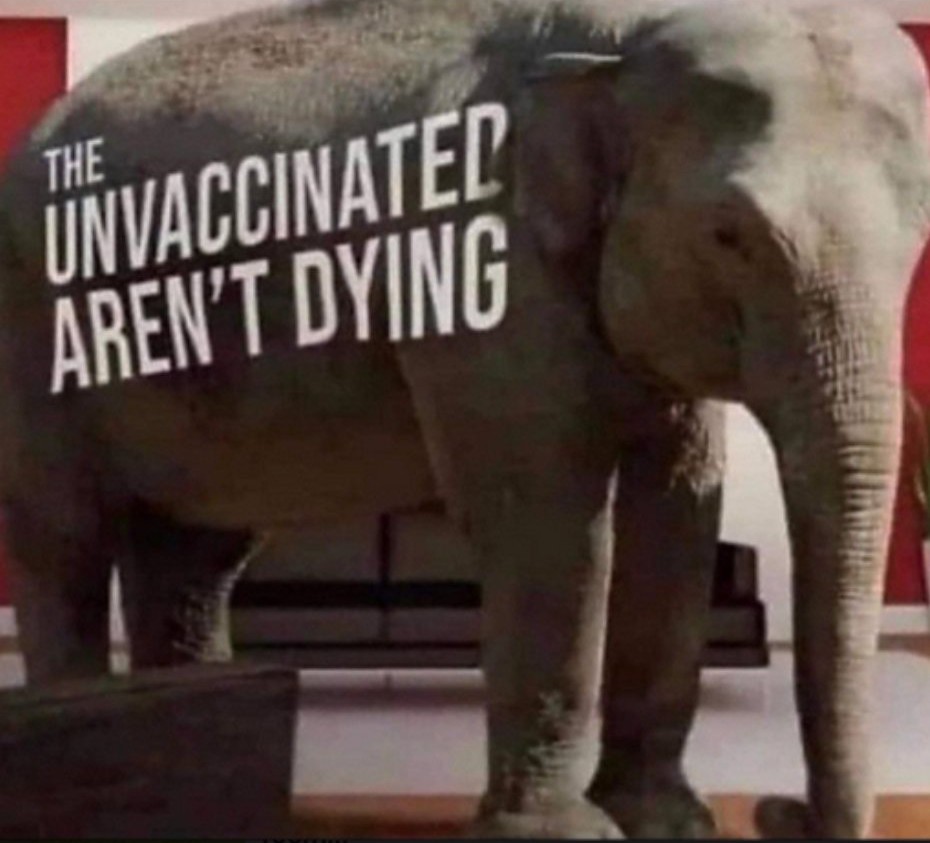 How'd he get into the room?