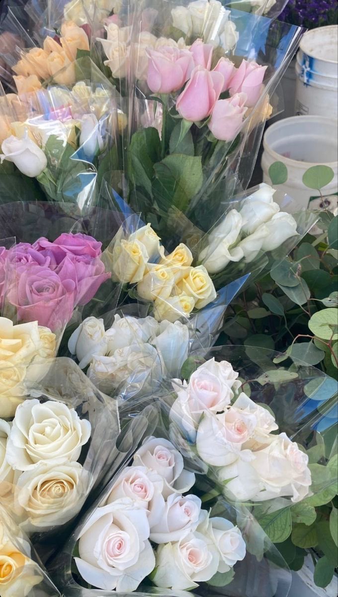 There’s a national flower day? :o Well… happy national flower day, everyone! Do grab a bouquet, if you’d like! 💐🫶🏻
