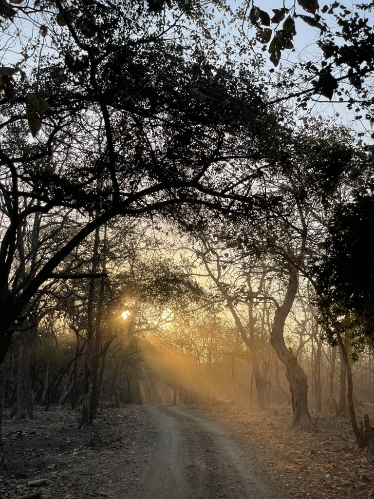 Dr. Brijesh Makadia tweet media