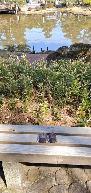 ころん初めてのおでかけ 
