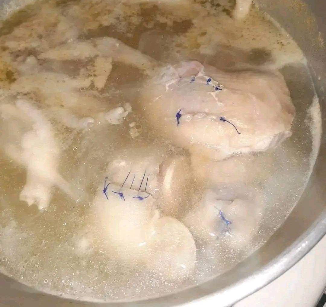 Mamá, ¿Viste en dónde quedó el pollo con el que estaba practicando mis sutur...