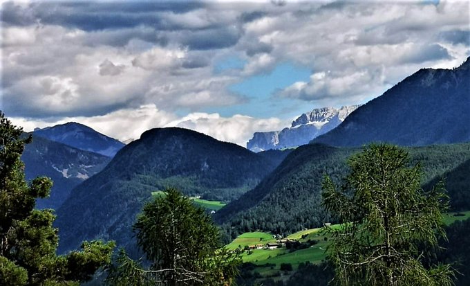 Forests have a positive influence on our health. Trees filter dust and soot particles from our air - and the mere sight of a tree measurably reduces our stress, researchers have found. I wish you to find a tree near you and a blessed rest of the day. ❤️💙💚🌳🌱🌿🤗