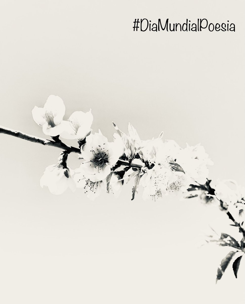 ‘M’agrada tot el nou, el que es renova,
les fulles tendres dels arbres a la primavera,
una pell ben tibant, adolescent,
la besada d’uns llavis sense cap clivella,
l’arena molla de poc per les onades,
una pintura fresca,
i un dolç amor a penes estrenat’.

Zoraida Burgos
