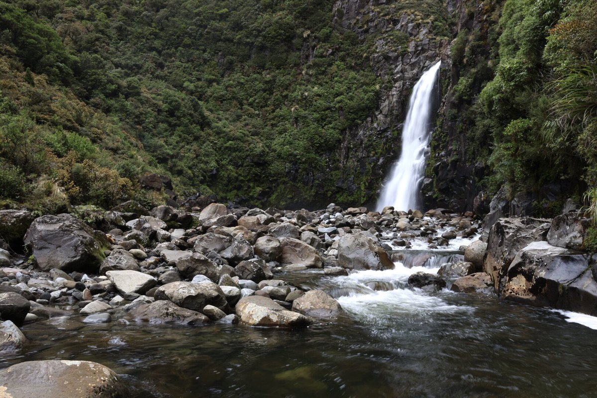 Bell’s Falls, Pouakai Circuit, Taranaki, NZ. #NZ2023 #hiking #Canonr6markii