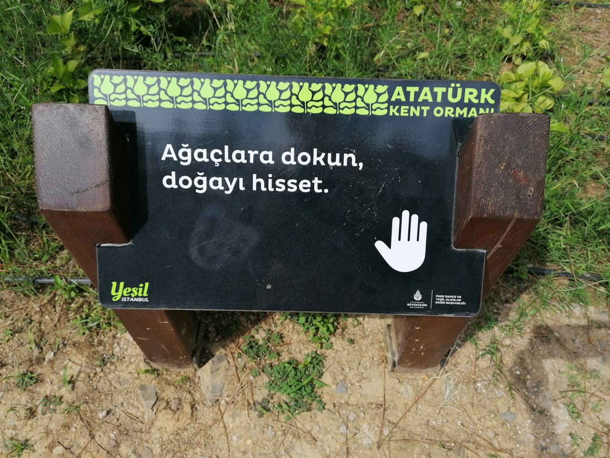 EyenEnn's tweet photo. The Spring Equinox, Nevroz &amp; the International Forest Day.
We need balance.
Too many images of deforested land, polluted rivers, destroyed landscapes.
We need to nurture, to restore, to protect, to respect.
If you don`t know what to do #PlantATree #MakeYourGarden #GoOut #HugATree https://t.co/9GqsM4PgFE