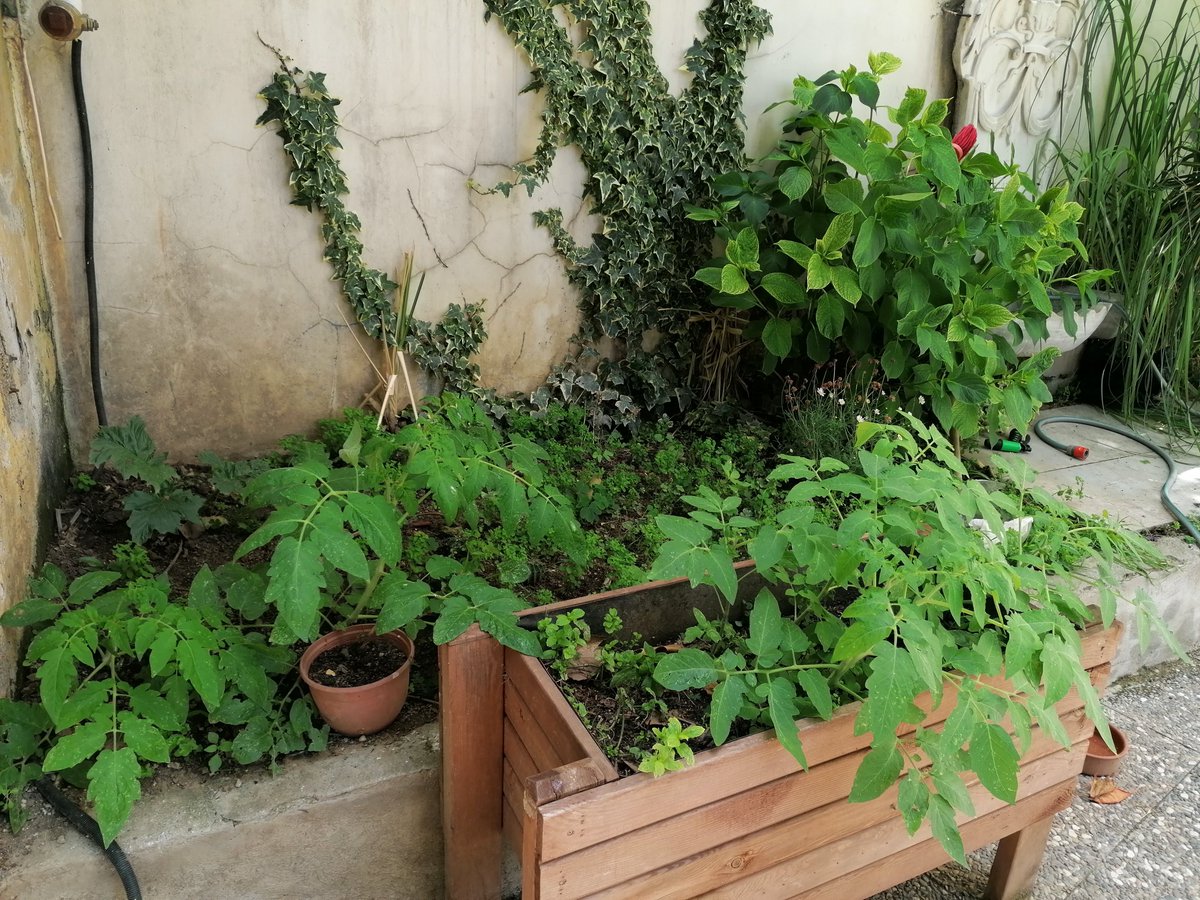 EyenEnn's tweet photo. The Spring Equinox, Nevroz &amp; the International Forest Day.
We need balance.
Too many images of deforested land, polluted rivers, destroyed landscapes.
We need to nurture, to restore, to protect, to respect.
If you don`t know what to do #PlantATree #MakeYourGarden #GoOut #HugATree https://t.co/9GqsM4PgFE
