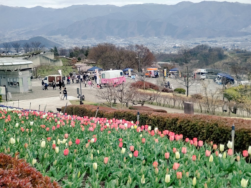 TomitaMitsumono's tweet photo. 本年も #YHSF2023 大盛況で御座りました😉🌸

#山梨県 #山梨市 #笛吹川フルーツ公園 #NPO法人山梨ガバメント協会 https://t.co/q7EWA0rtoD