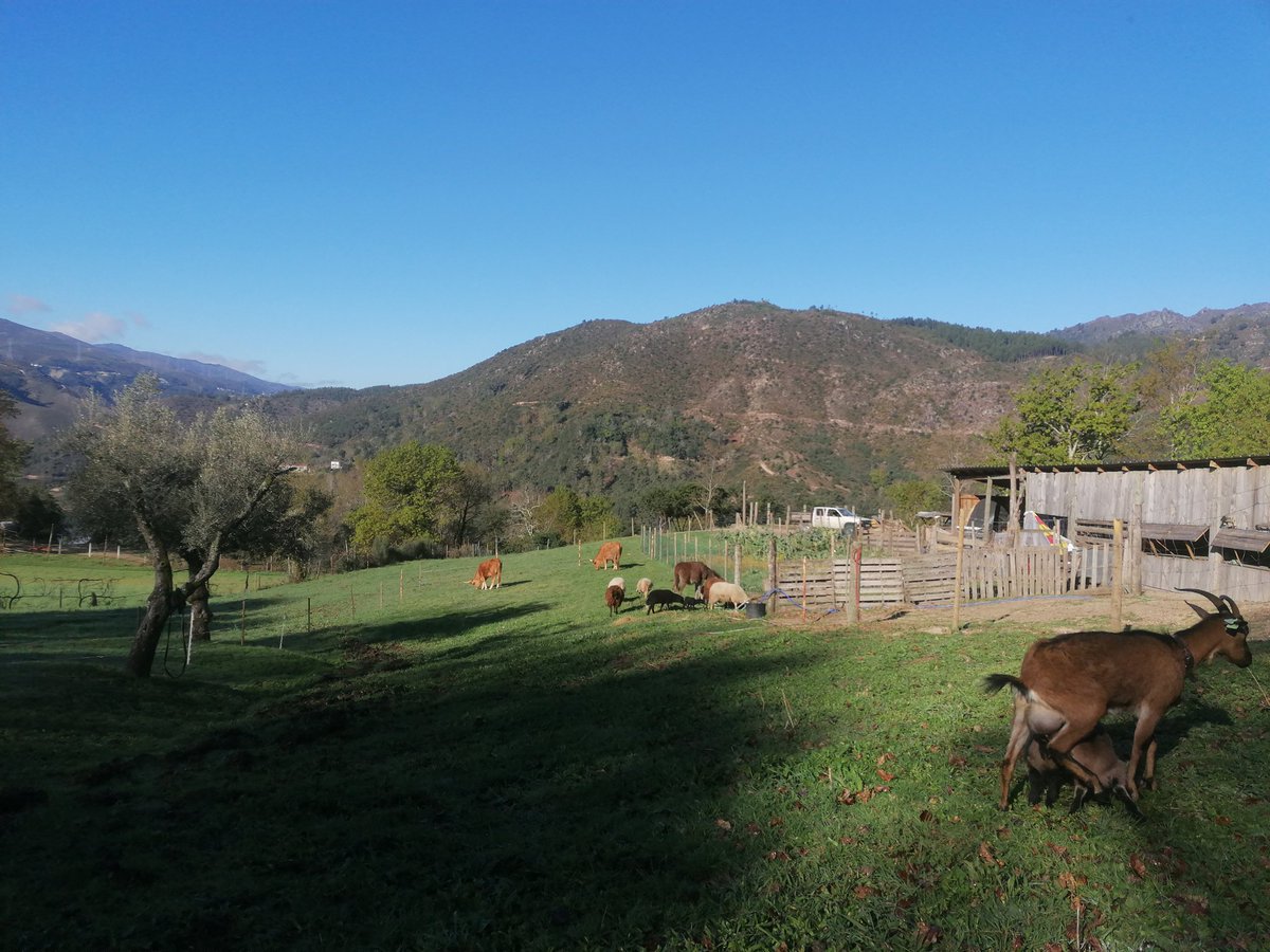 Cabril Eco Rural tweet media