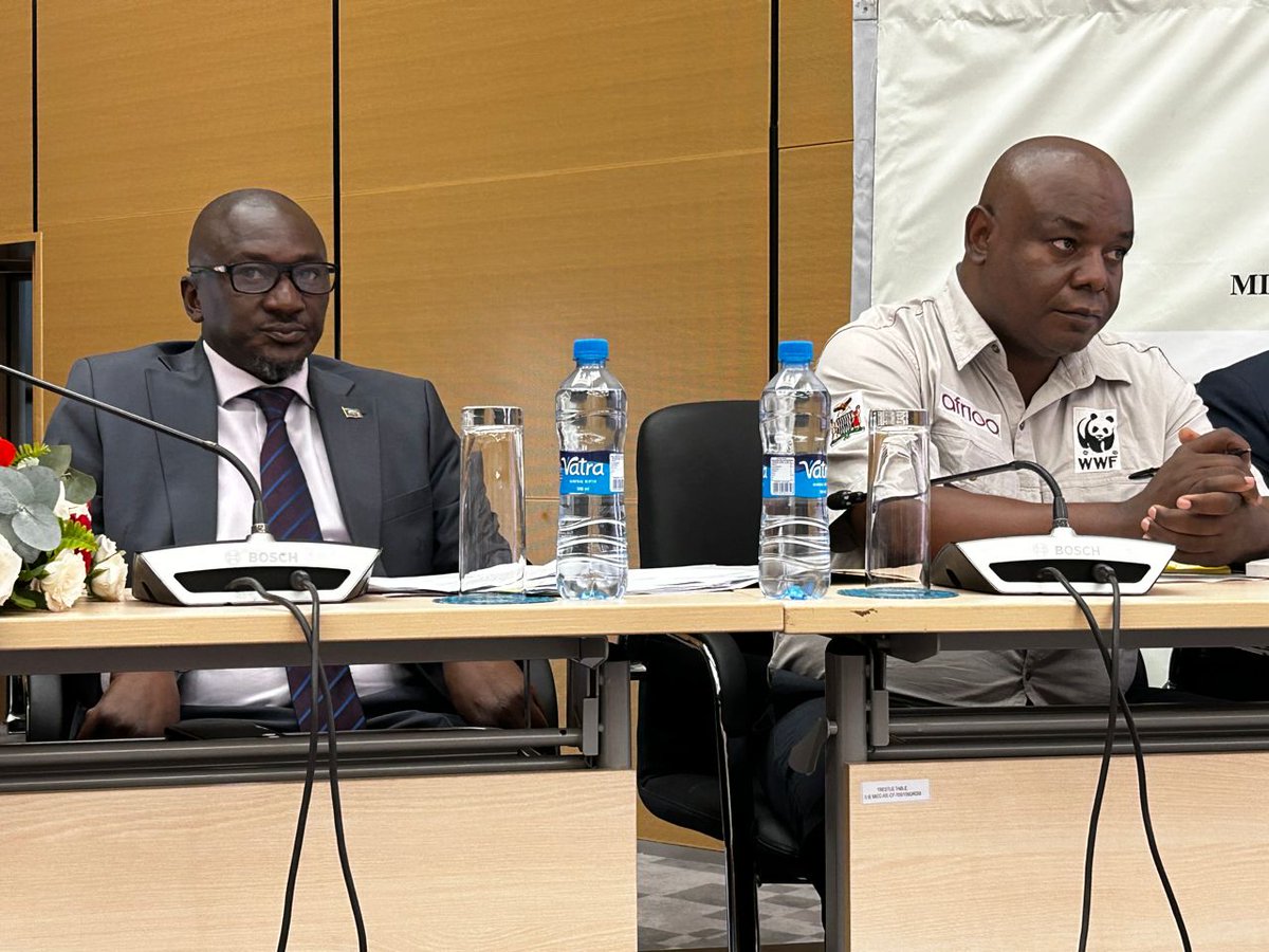WWF Zambia (@wwfzambia) on Twitter photo Happening Now: The Commemoration of International Day of Forests🌳at <a href="/MICCLtd/">The Mulungushi International Conference Centre Ltd</a>. Today <a href="/wwfzambia/">WWF Zambia</a> Pledges to restore 500,000Ha of degraded and deforested land in Zambia🇿🇲 to support the <a href="/ZambiaMGEE/">Ministry of Green Economy and Environment - Zambia</a>'s commitment to #AFR100. Happening Now: The Commemoration of International Day of Forests🌳at <a href="/MICCLtd/">The Mulungushi International Conference Centre Ltd</a>. Today <a href="/wwfzambia/">WWF Zambia</a> Pledges to restore 500,000Ha of degraded and deforested land in Zambia🇿🇲 to support the <a href="/ZambiaMGEE/">Ministry of Green Economy and Environment - Zambia</a>'s commitment to #AFR100.