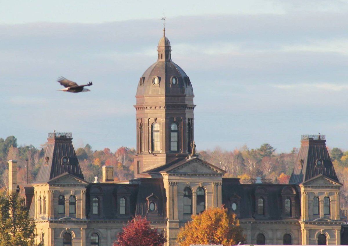 One of my favorite Eagle pics flying by the New Brunswick Legislature.