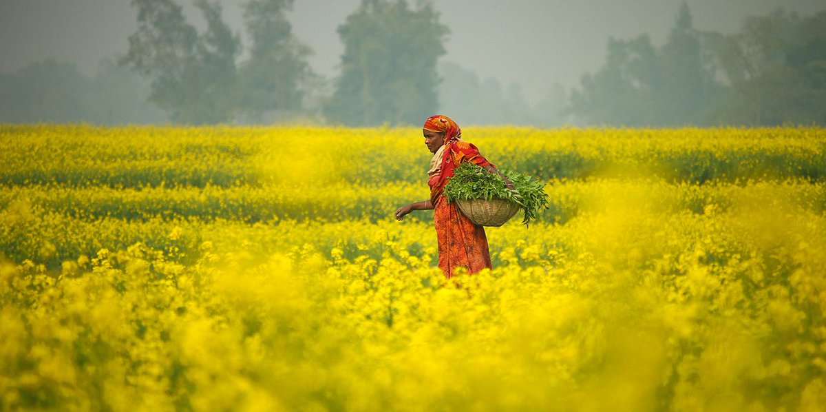 icimod's tweet photo. It's time we scale up investment in mountain-specific #climate priorities in #HKH!

It can only be possible through partnerships with governments, mountain communities, financial institutions, private sector actors, &amp; development partners.

👉https://t.co/q3iVc4ZEJx

#MOIF #COP28 https://t.co/aq29bVg34V