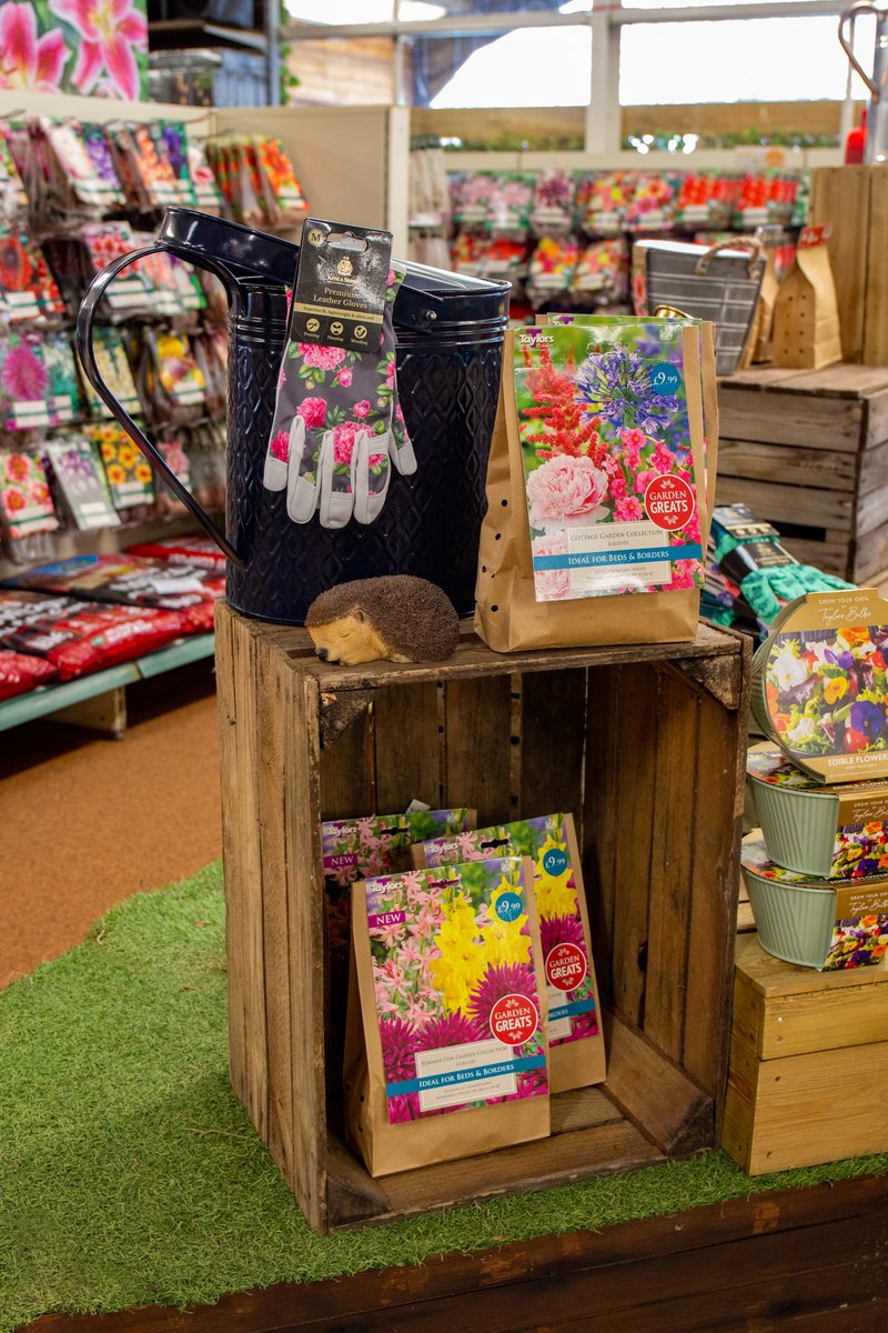 ThetfordGC's tweet photo. As the weather starts to warm, it's time to start planting those beautiful Summer-flowering bulbs!🌻 We have a fantastic selection to plant in containers or beds &amp; borders  in-store now.  
 
#thetfordgardencentre #growyourown #summerflowers #flowerbulbs https://t.co/GOopUlc2eM