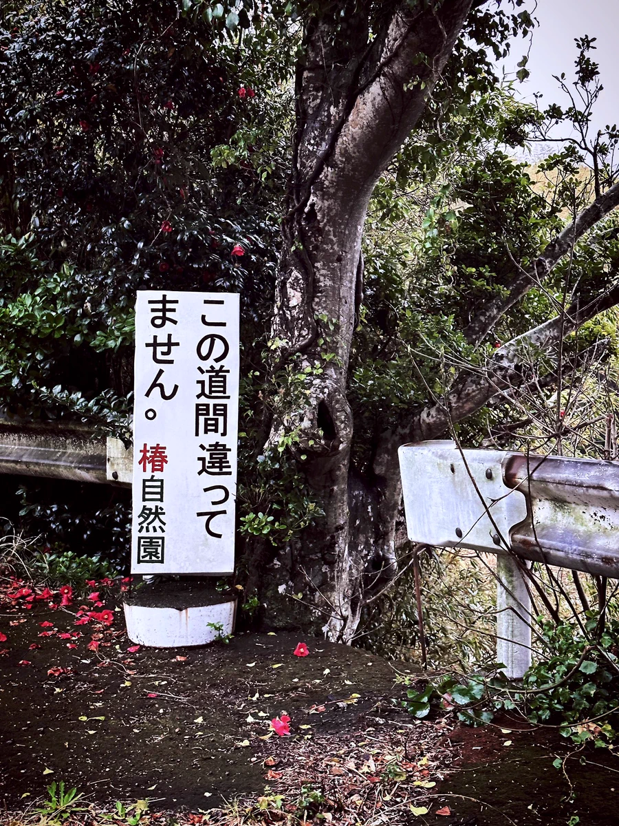 得体のしれないナニカに誘われている？！順路の看板！