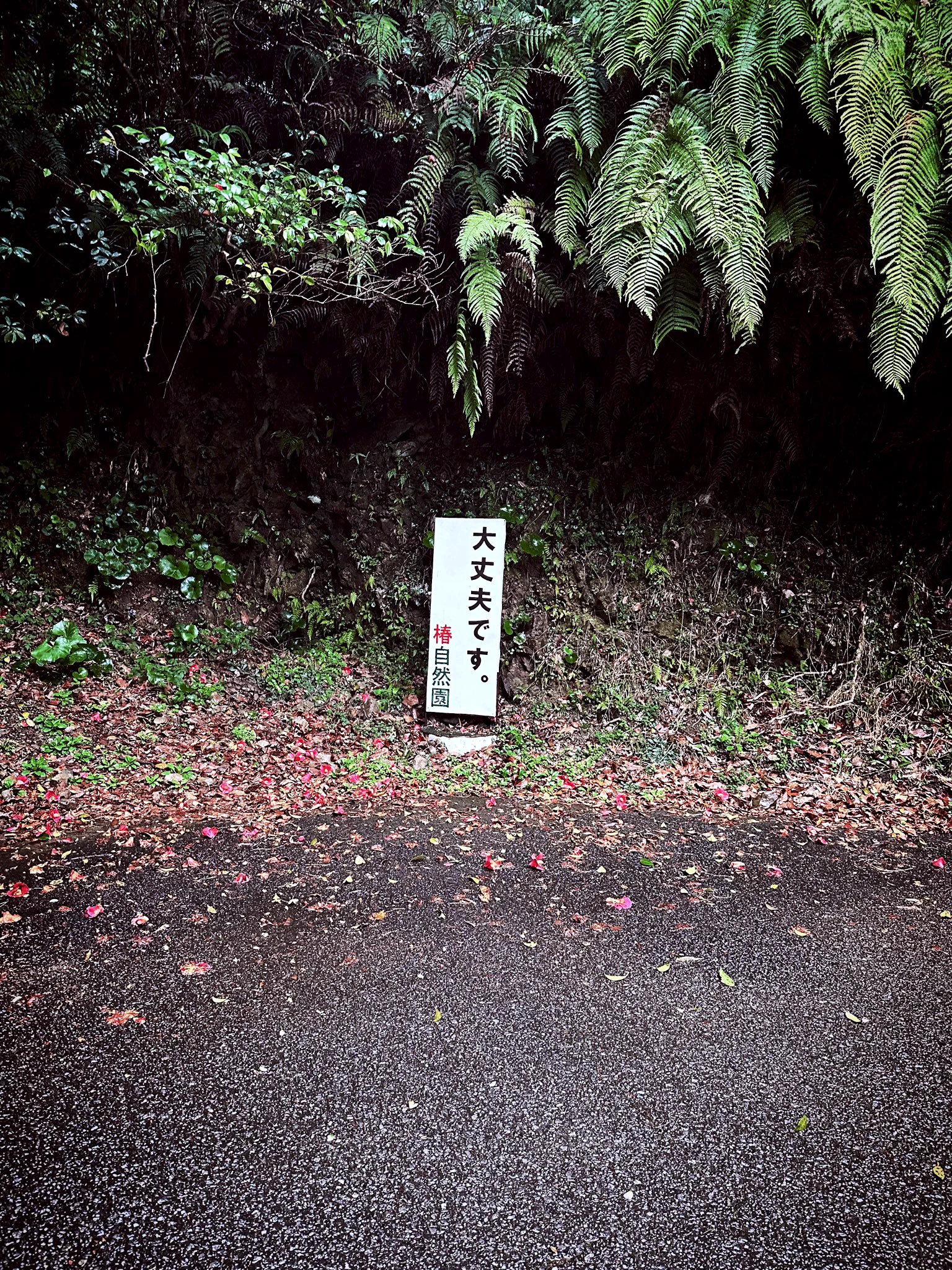 得体のしれないナニカに誘われている？！順路の看板！