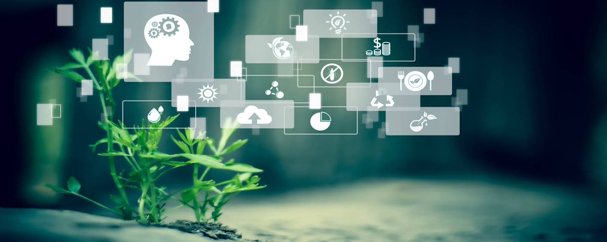 Stratégie data et Green IT : comment travailler la sobriété ? - itforbusiness.fr/strategie-data…