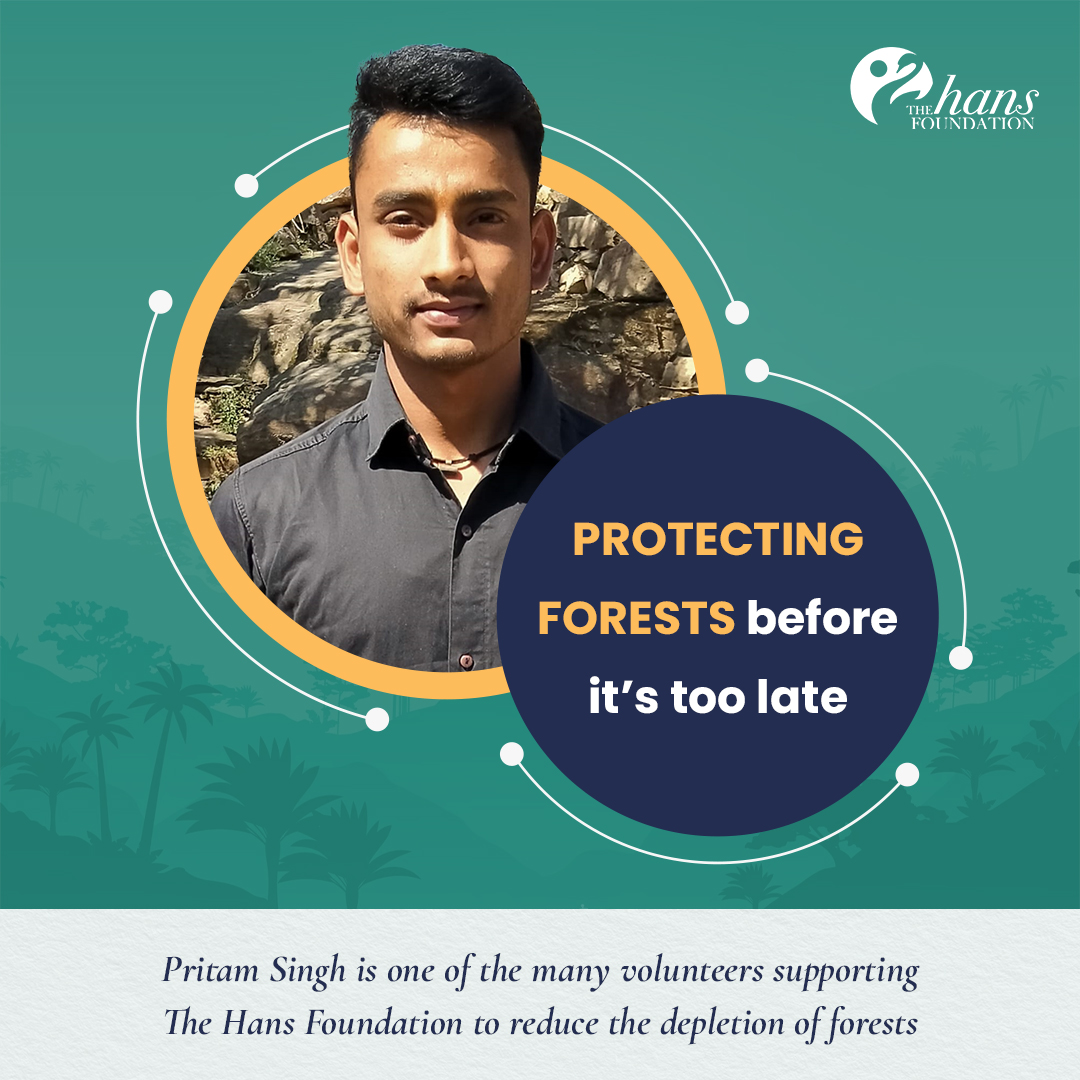 The Hans Foundation tweet media