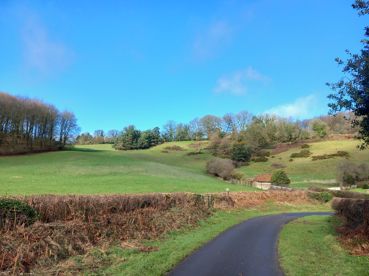 lazyperfection's tweet photo. First run of spring #morningrun #running #exercise #wiltshirerunner #countryrun #bluesky #wiltshire #longleat #outdoors #cranbornechase #aonb #countryside #lovewhereyoulive #rurallife https://t.co/nBA5WckPQA