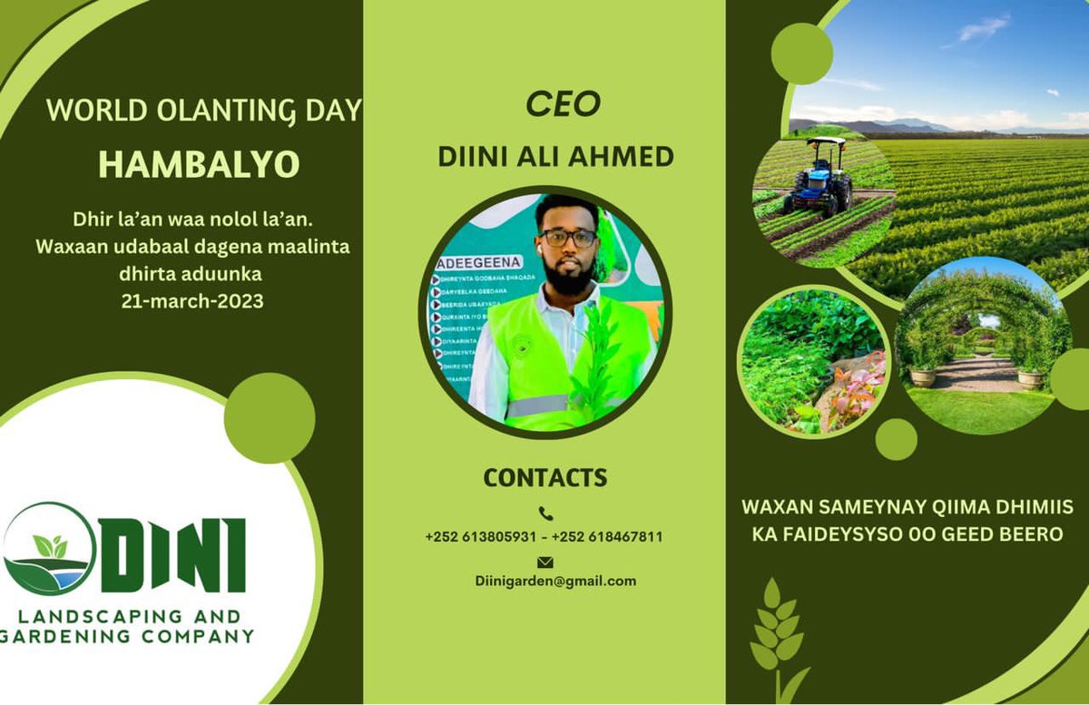 DiiniCompany's tweet photo. Geed Beero si aad u qurxiso Deganka .
21-march malinta dhirta aduunka ☘️☘️ https://t.co/iFDHRxmra3