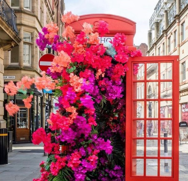 CupidsBowCelloDuo tweet media