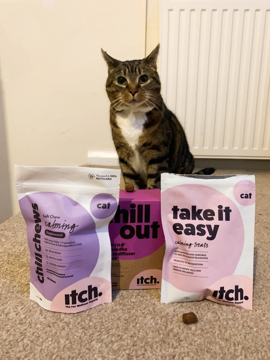 Chill your boots, puss! 🤩⁠
⁠
Our pets can be affected by stress, just the same as us humans! March marks Pet Anxiety Awareness month so we want to make sure your furry friends have everything they may need to keep chill. ⁠🧘‍♀️

Visit itchpet.com and shop now!⁠