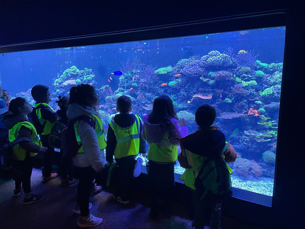 StroudGreenSch's tweet photo. Year 1 went to London Zoo to enhance their understanding of their science topic “Animals”. Thank you to @friendsofSGS for helping pay for this, they saw so many amazing animals! #science #yearone #educationalvisits https://t.co/NkdX6ZDQCV