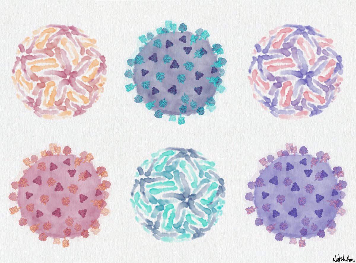 Dr Natalee Newton (@nataleenewton) on Twitter photo I’m excited to announce that we were awarded an #MRFF EMCR grant! An incredible team of EMCRs <a href="/UQ_SCMB/">UQ Chemistry and Molecular Biosciences</a> developing broad spectrum vaccines for emerging RNA viruses. <a href="/Ari1saacs/">Ari</a> <a href="/ChrisLDMcMillan/">Chris McMillan</a> <a href="/RhysHParry/">Rhys Parry</a> <a href="/cusycon/">Naphak Modhiran</a> <a href="/gabefoley/">gabefoley</a> Jessica Harrison & Yu Shang Low. I’m excited to announce that we were awarded an #MRFF EMCR grant! An incredible team of EMCRs <a href="/UQ_SCMB/">UQ Chemistry and Molecular Biosciences</a> developing broad spectrum vaccines for emerging RNA viruses. <a href="/Ari1saacs/">Ari</a> <a href="/ChrisLDMcMillan/">Chris McMillan</a> <a href="/RhysHParry/">Rhys Parry</a> <a href="/cusycon/">Naphak Modhiran</a> <a href="/gabefoley/">gabefoley</a> Jessica Harrison & Yu Shang Low.