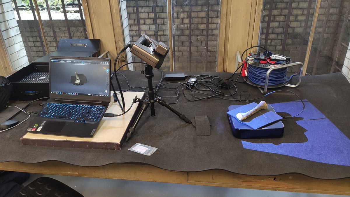 JoepSchaeffer's tweet image. And now a week of scanning Plateosaurus at the @mfnberlin