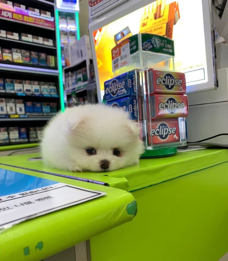 อยากกินไรไปหยิบเองนะลุกค้า พี่เอื้อมไม่ถึง