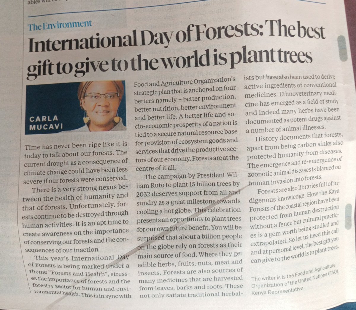 FAOKenya's tweet photo. "The best gift to give to the world is to plant trees" @FAOKenya Rep. @CMucavi
#IntIForestDay #ForestDay
https://t.co/wPqXMPtxu1 https://t.co/hqvMGTe6qz