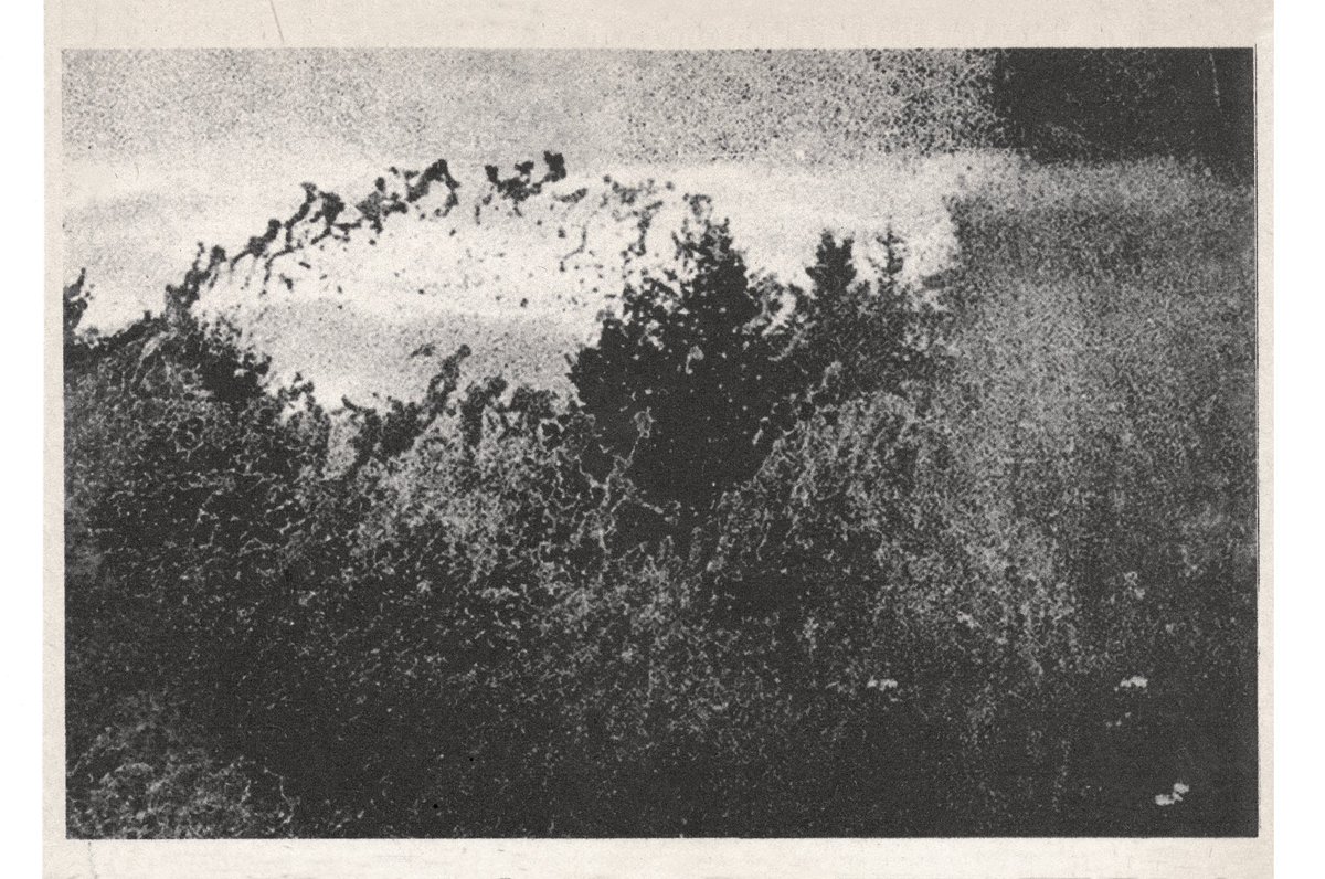 GM and happy #TEZOSTUESDAY ✨