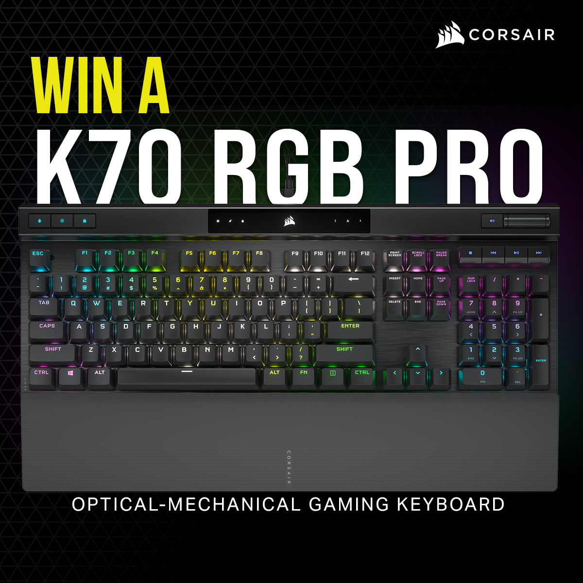 PLEComputers's tweet photo. Enter for your chance to 𝗪𝗜𝗡 𝗮 𝗖𝗼𝗿𝘀𝗮𝗶𝗿 𝗠𝗲𝗰𝗵𝗮𝗻𝗶𝗰𝗮𝗹 𝗞𝗲𝘆𝗯𝗼𝗮𝗿𝗱🤩
👉 https://t.co/KqTwL3grfG https://t.co/ZNpYjsTpKI