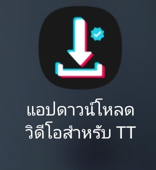 ♡♡ซามอยด์ยอนแทโอ♡♡ tweet media