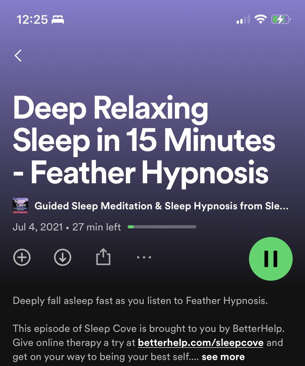 First line of this sleep meditation podcast is an ad that says, “have you ever wondered what it felt like to be stuck in an avalanche?”

I haven’t. But now it’s all I’ll be thinking about instead of sleeping. So cute.