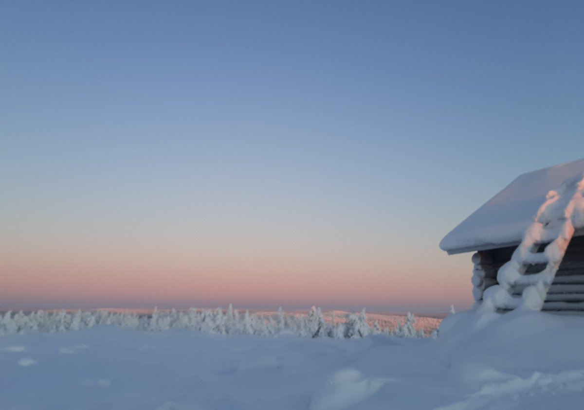 Varpu Wiens tweet media